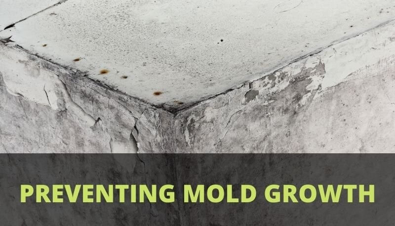 MOLD GROWTH